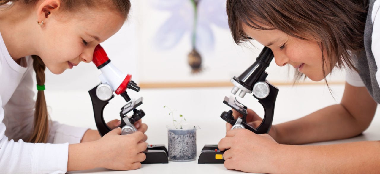 микроскопы детские в Краснодаре